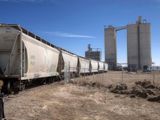 Potash-4093052.JPG