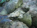 Nature T C184966.JPG