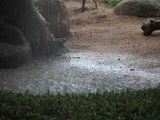 Nature 2022078.jpg
