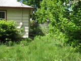 IMG_2110.JPG