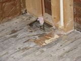 IMG_2320.JPG