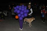 Purple Grapes