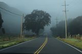 Foggy Drive