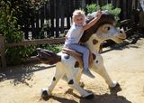 Giddy Up Pony