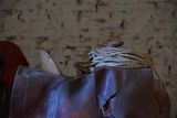 Old Saddles and Rope