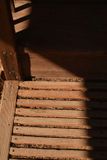 Wood and Shadows