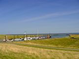 CUXHAVEN ALTENBRUCHER ELBDEICH DICKE BERTA 9