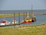 CUXHAVEN ALTENBRUCHER ELBDEICH DICKE BERTA 10