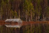 Kaunisjoki in May - P5130119.jpg