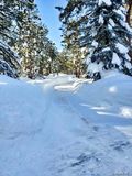 A freshly cleared driveway