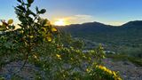 South Mountain Park at sunrise