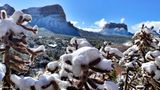 Rare March snowfall 