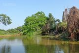 The Pantanal, Brazil