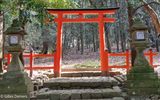 Tori (portail)  lentre du temple Todaiji.