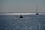 _Z609444.jpg
