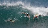 23surflifesaving