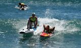 23surflifesaving