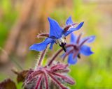 _DSC2018-101.JPG