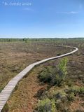 Veengebied - Peat area