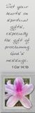 Set your hearts on spiritual gifts - 1 Corinthians 14:1b