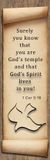 Gods Spirit lives in you - 1 Corinthians 3:16