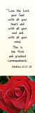 The greatest commandment - Matthew 22:37,38