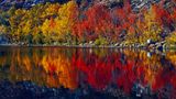 D5A_1840_DxONorthLake1691.jpg