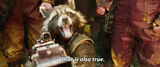 ROCKET of Guardians galaxy THIS IS ALSO TRUE GIF.gif