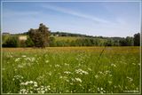 _MG_5976.jpg