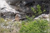 _MG_6587.jpg
