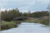_MG_9210.jpg