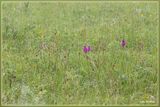 _MG_6175.jpg