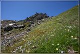 _MG_3788.jpg