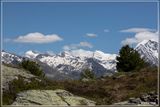 _MG_3897.jpg