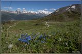 _MG_3979.jpg