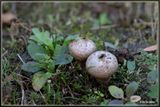 _MG_5555-5562.jpg