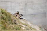 _MG_3359+3361.jpg
