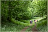 _MG_8380.jpg