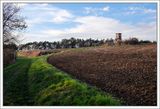 Early Spring Field ...
