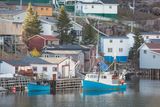Darrel Giesbrecht: Francois, NL