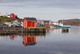 Newfoundland Colours