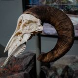 _SAM2683-(2).jpg