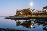 w_DSC0599.jpg