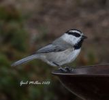 IMG_0206.jpg