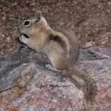 IMG_0133.jpg