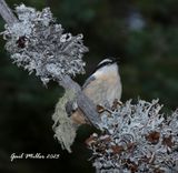 IMG_0721.jpg