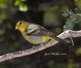 IMG_1144.jpg