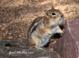 IMG_2396.jpg