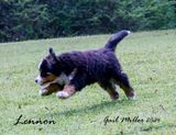 _MG_1294.jpg