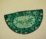 Pine leaf sectioned